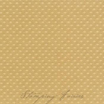 Bazzill Dotted Cardstock "Rope Swing"